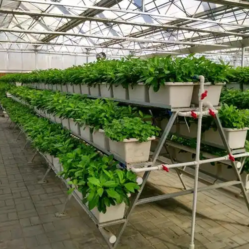 晋中市植物工厂玻璃大棚 - 排名