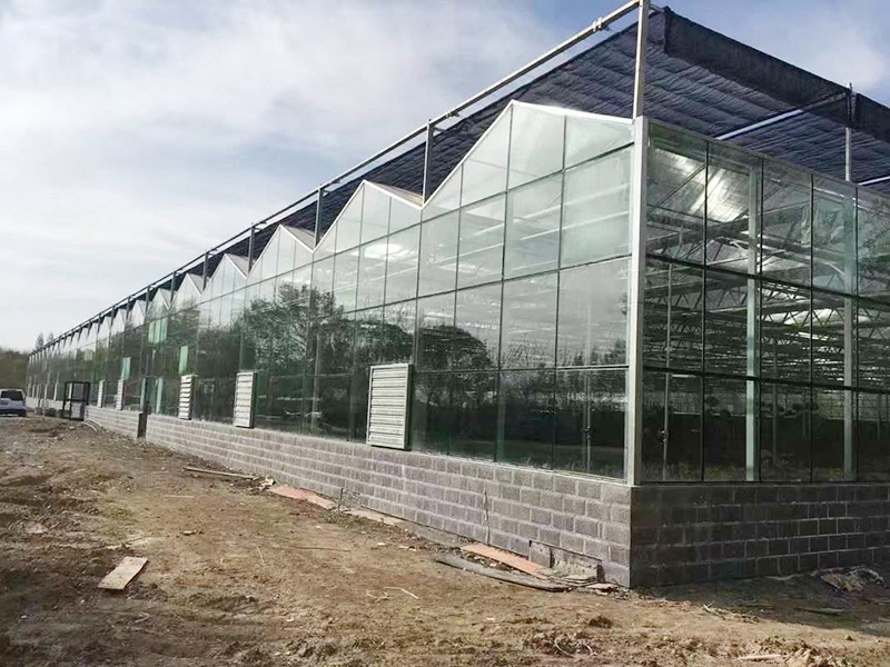 晋中市玻璃温室植物工厂 - 价格